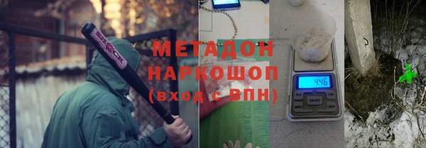 прущие грибы Инта