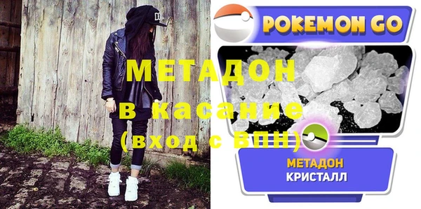 прущие грибы Инта