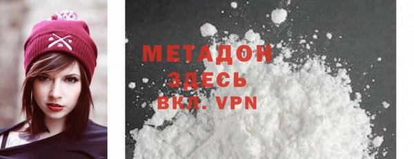 прущие грибы Инта