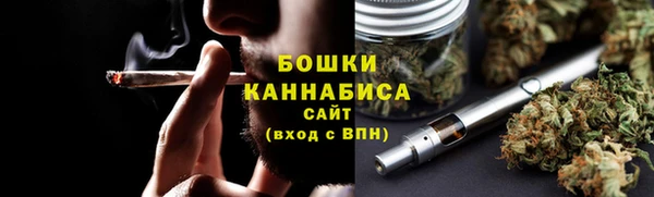 ешки Иннополис