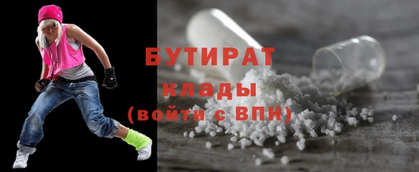 прущие грибы Инта