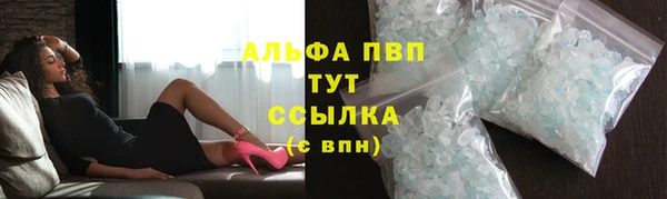 прущие грибы Инта