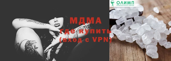 прущие грибы Инта