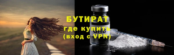 прущие грибы Инта