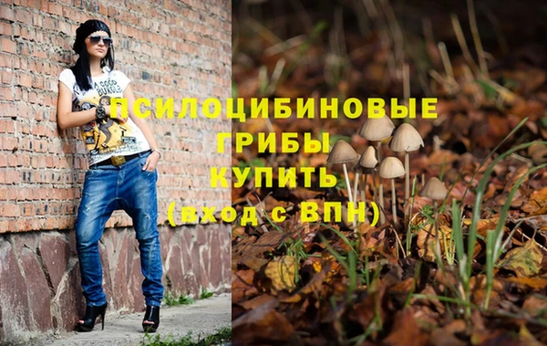 кокс Инсар