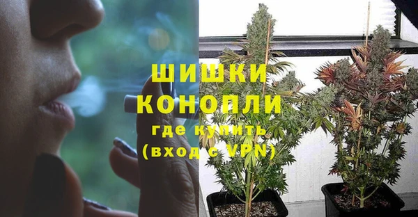 кокс Инсар