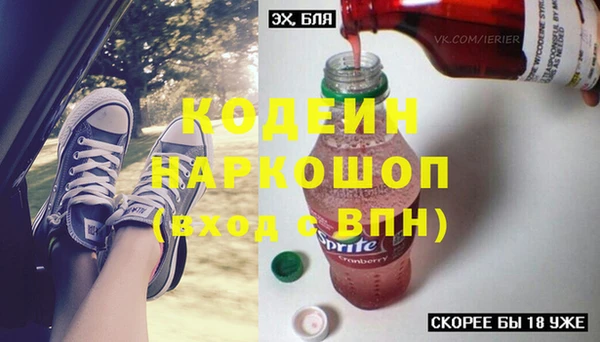 прущие грибы Инта