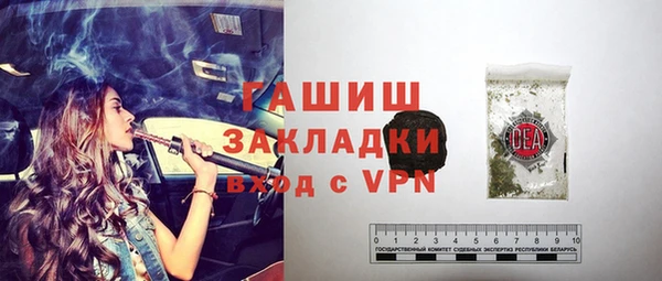 прущие грибы Инта